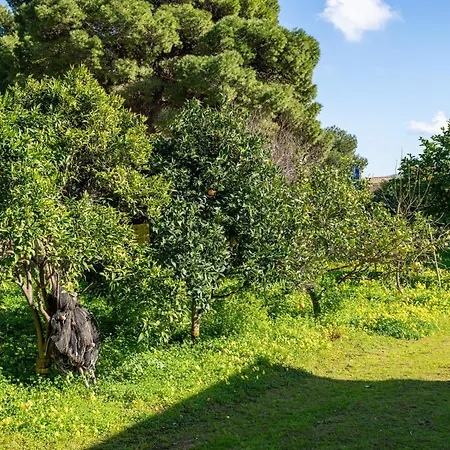 Ghisu Sant'Anna Arresi