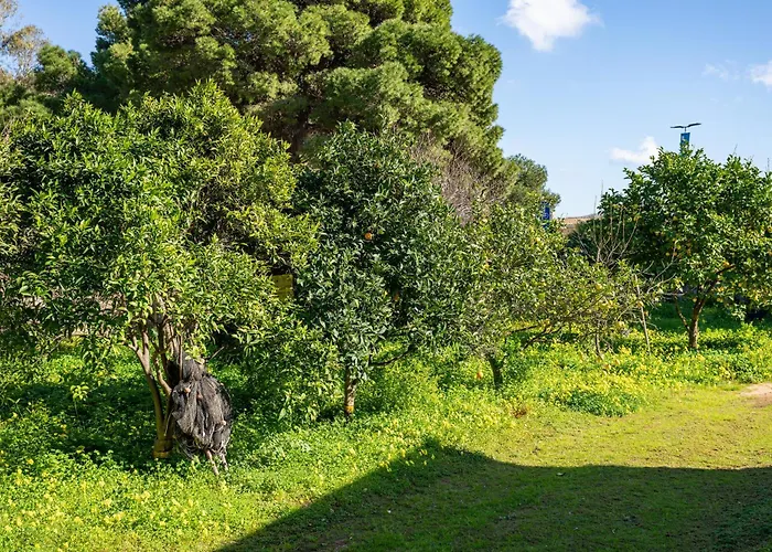 Ghisu SantʼAnna Arresi